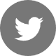 Twiiter icon